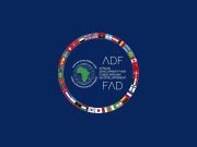 Grøn omstilling og el: Danmark støtter Afrika med 785 millioner kr.